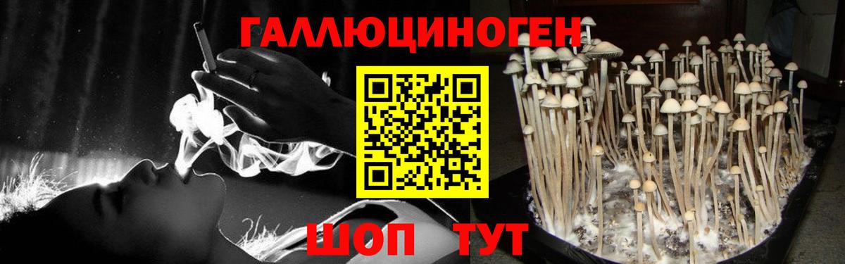 Галлюциногенные грибы ЛСД  Вход с VPN  даркнет сайт  Канск 